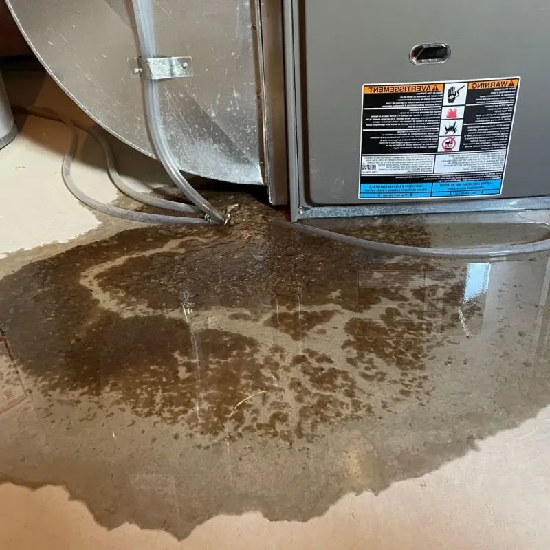 Pipe Burst and Leak Restoration in Mullins, SC