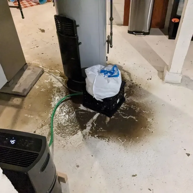 Sewage Backup Cleanup Service in Mullins, SC